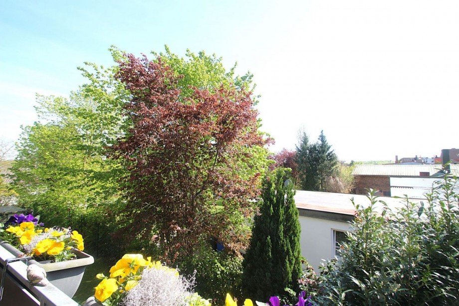 Aussicht vom S�dbalkon Wohnung Malente